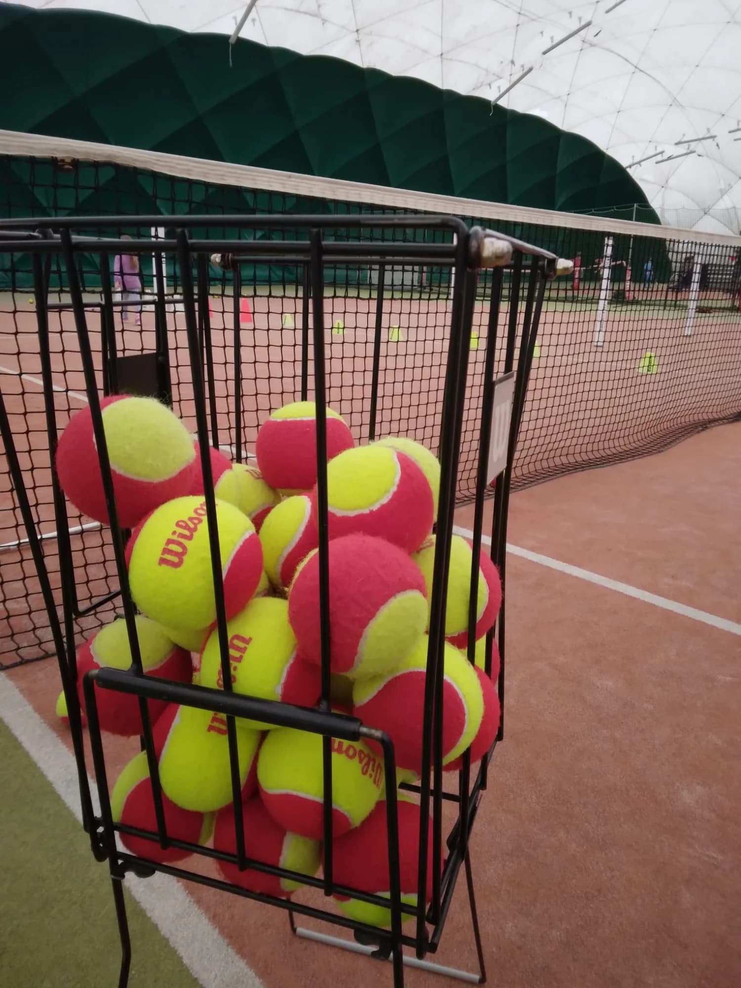 Tenis