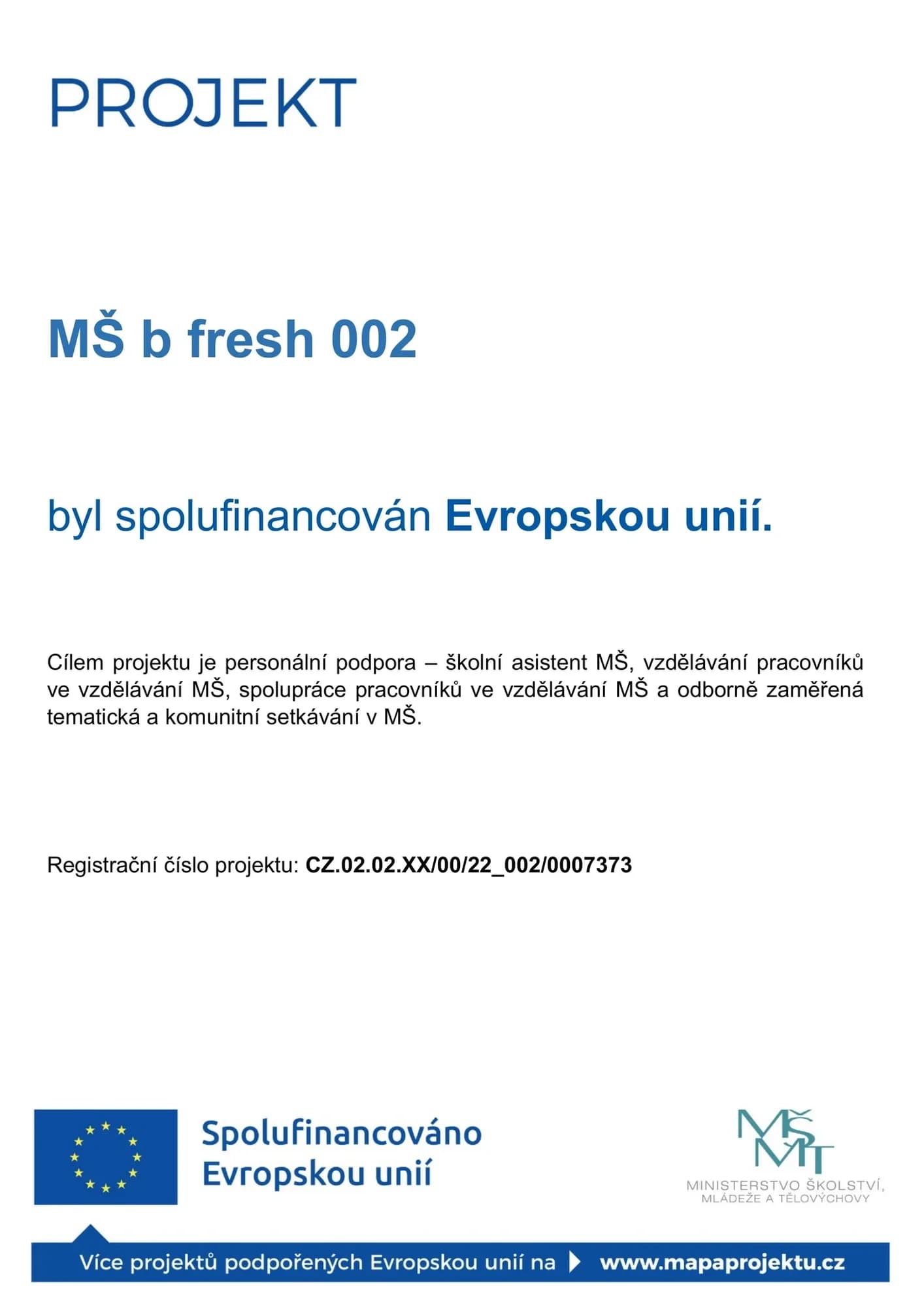 EU Projekt 1